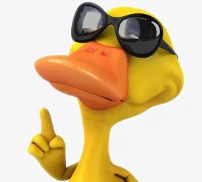 Usuário Pato online no bate-papo